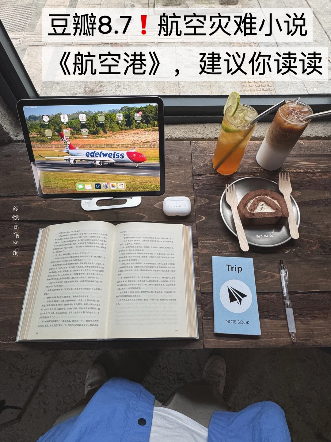 豆瓣8.7❗️航空灾难小说《航空港》，建议你读读