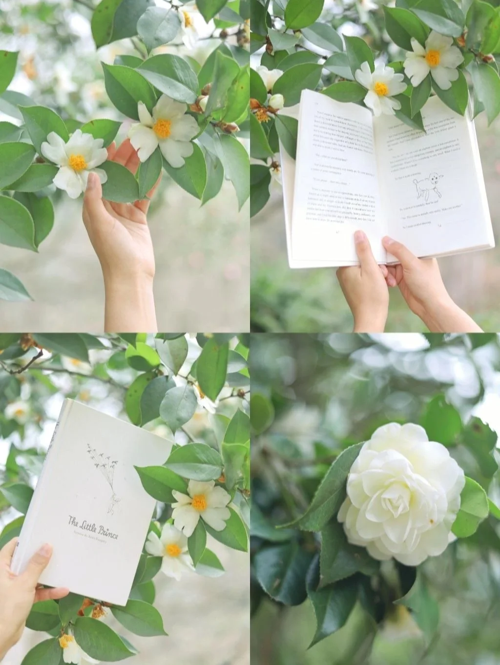 夏日绿调色合集/9款常用宝藏滤镜，告别废片