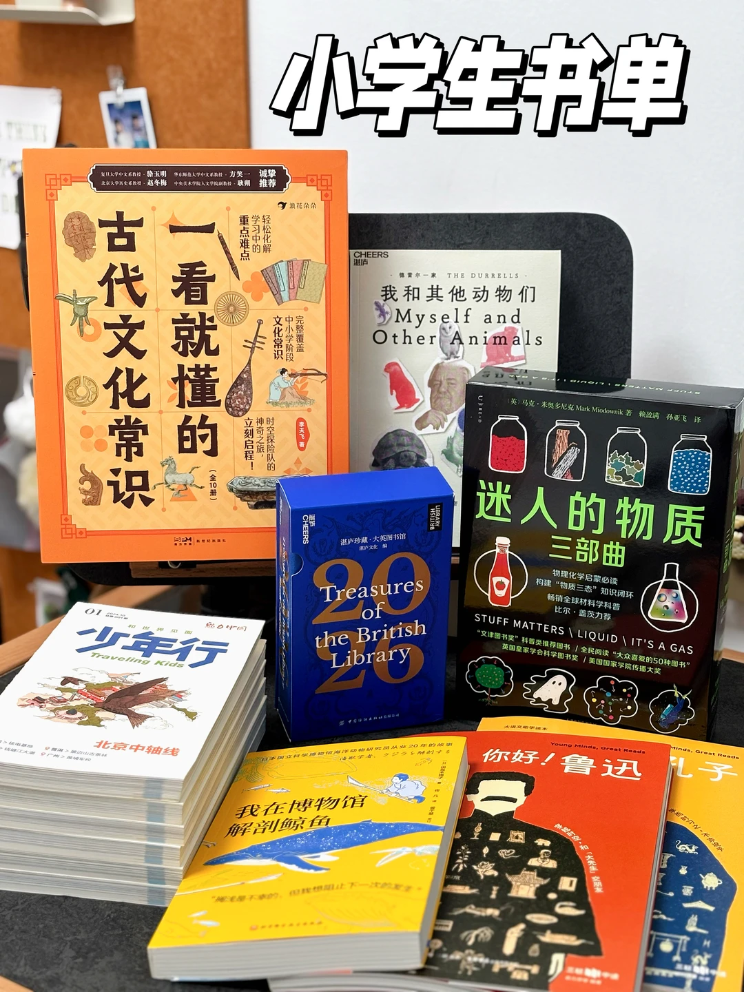 小学高年级| 高质量阅读书单 🔴🟠🟡