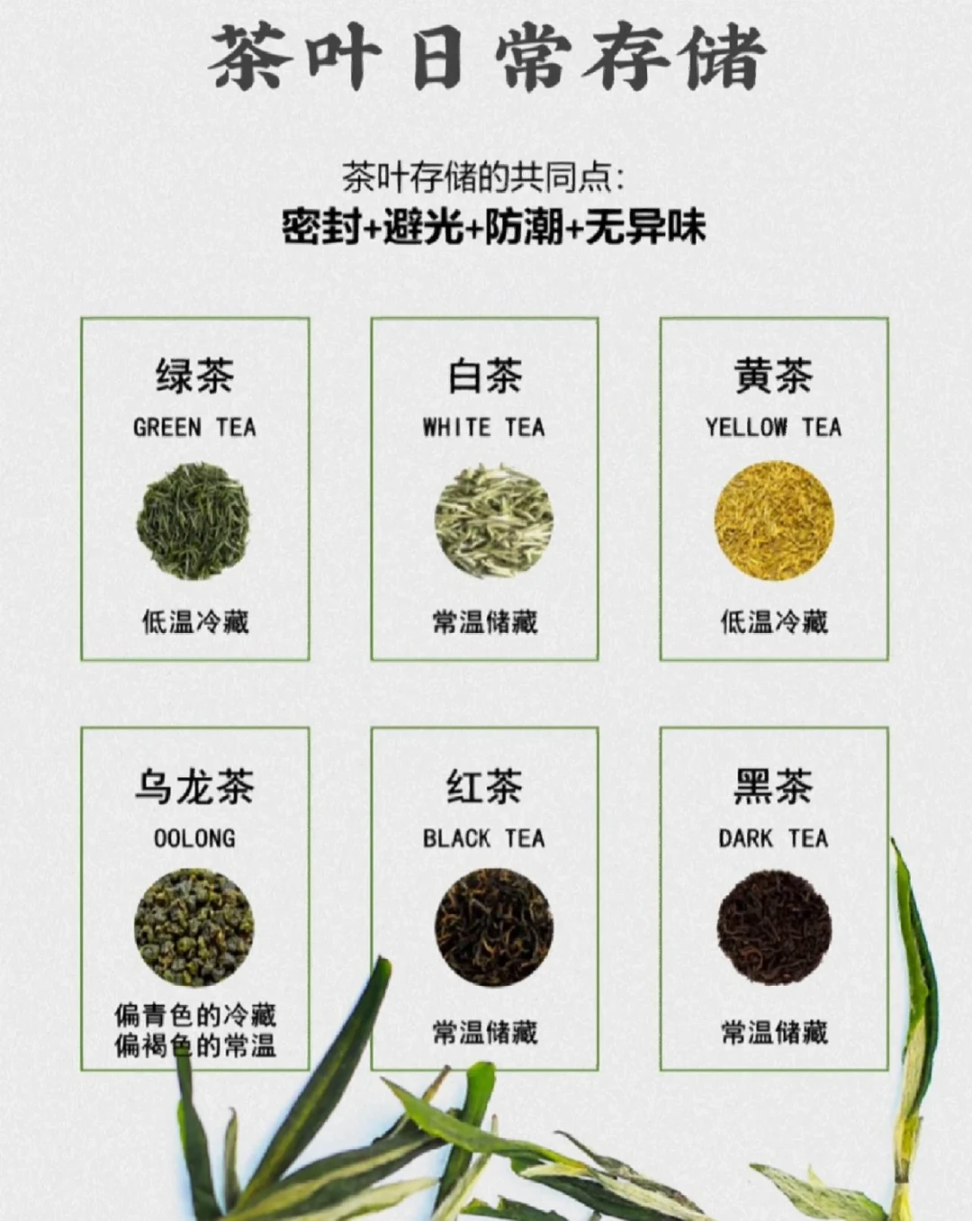 中国六大茶类的正确储存方式！建议收藏！