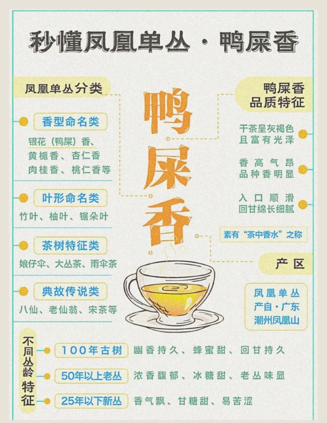 一篇文章让你了解凤凰单丛鸭屎香，简单易懂！