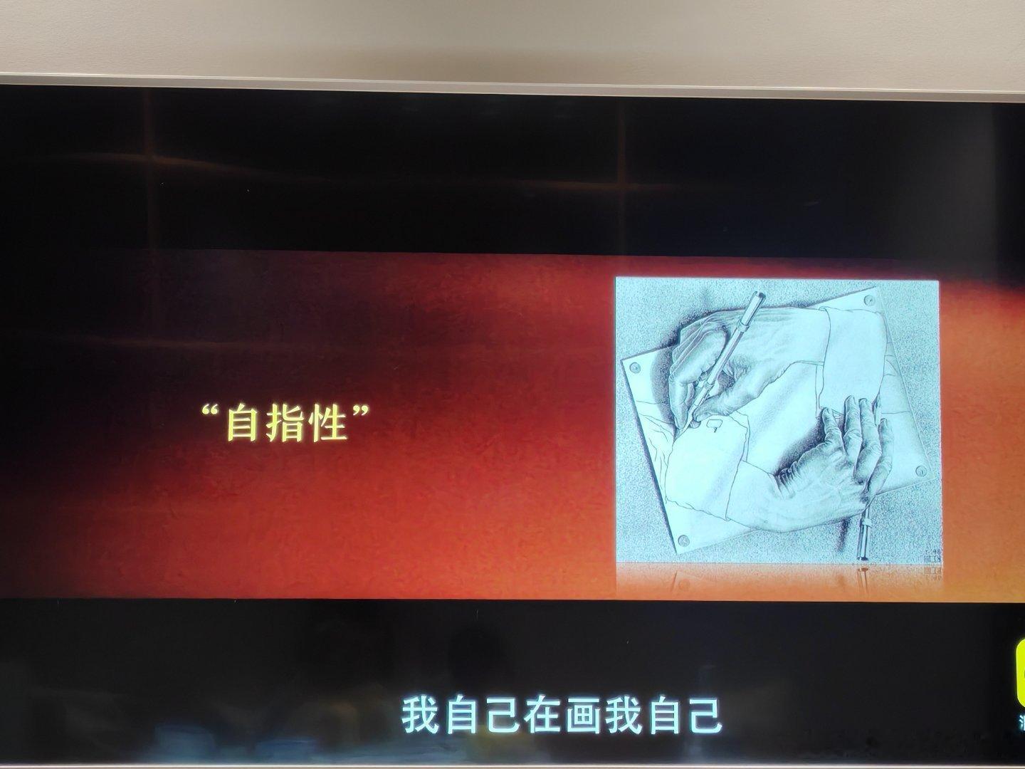 宇宙背后的本体，自我观察再坍塌成一个稳定的宇宙，及自指性。可理解为万物有源，那源从何而来？源源自源本身。 ​