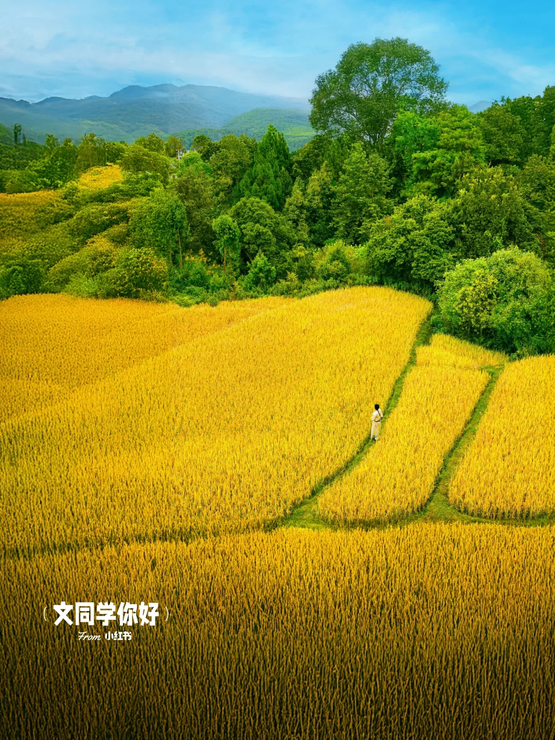 不愧是徐霞客赞叹的地热之乡！来赏秋泡温泉