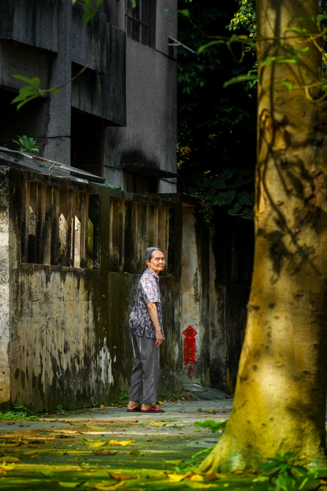 空屋、老人与蝉鸣｜正在消音的梅山社区