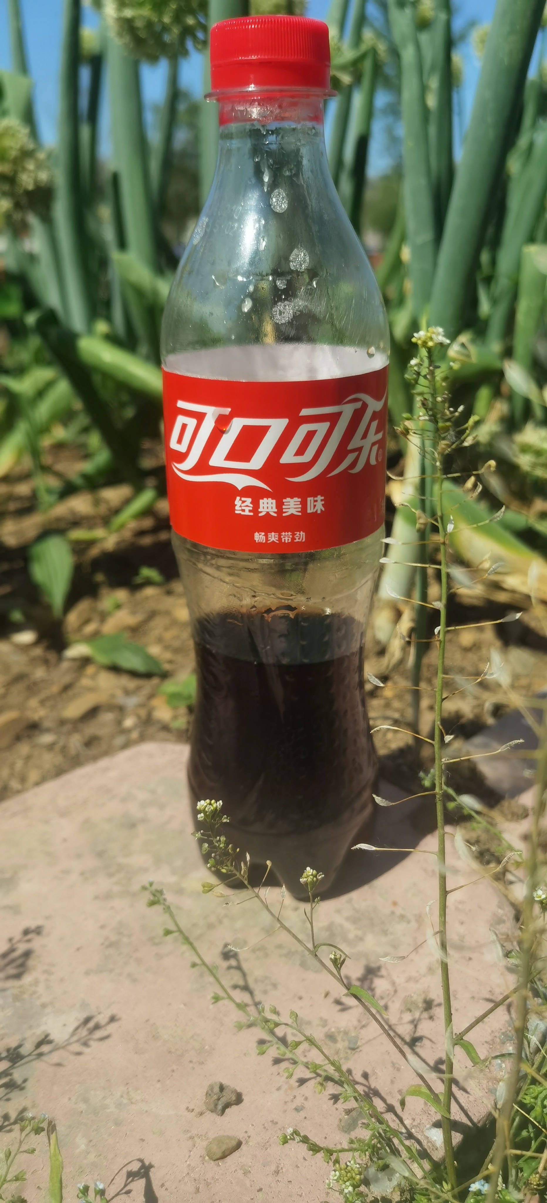 [超话]喝可口可乐。看杨洋雨霖铃，绝配 ​​​