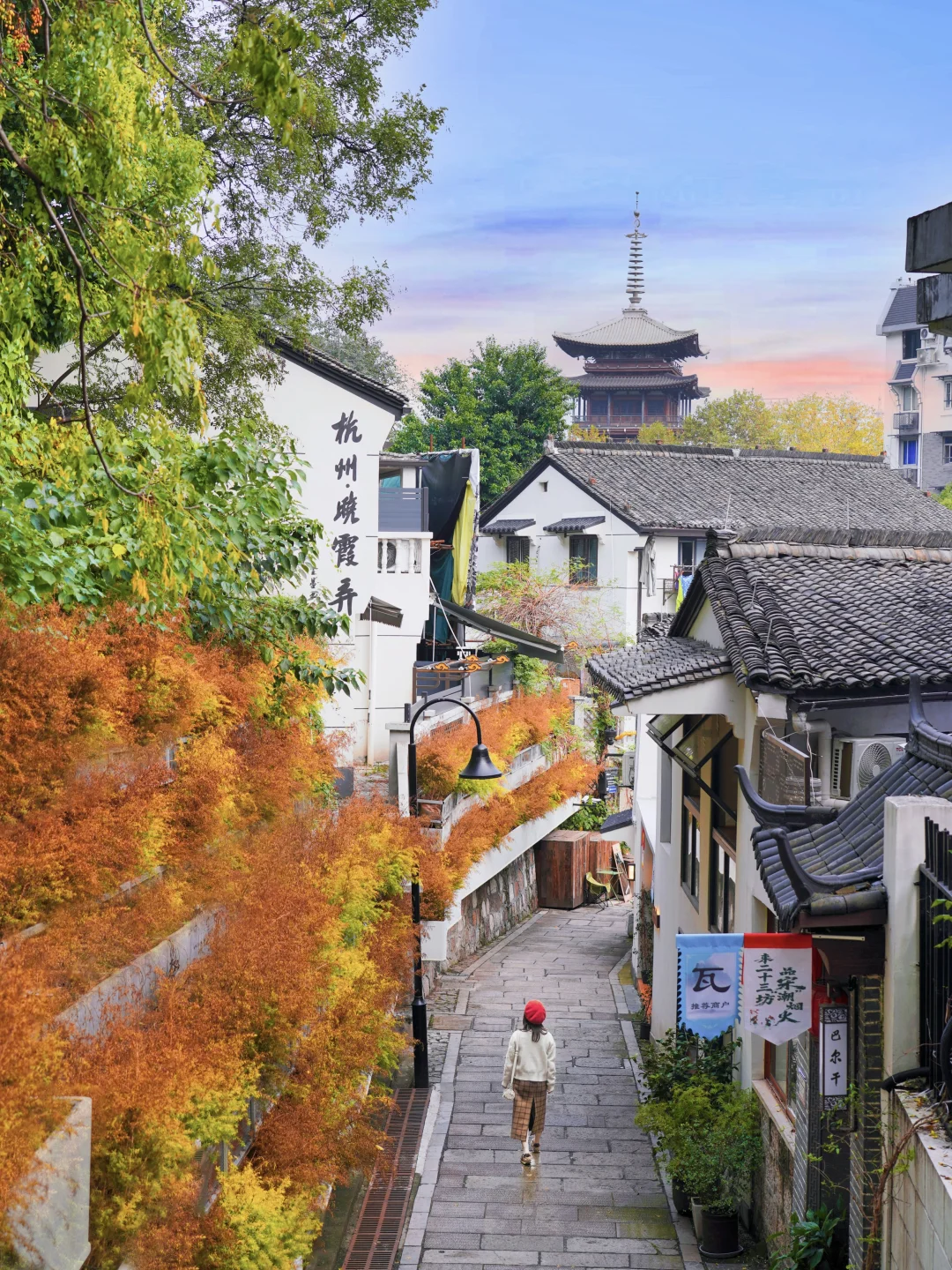 杭州赏秋人文Citywalk，藏着杭州一半的历史