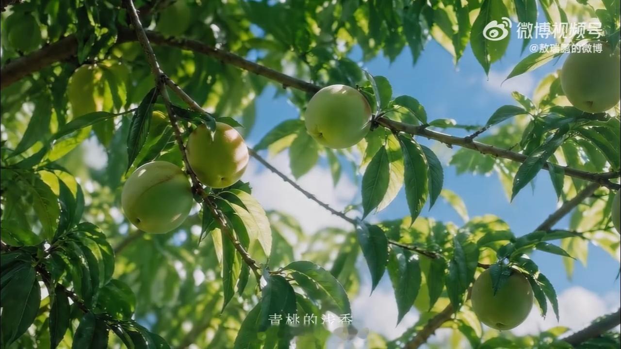 以宋为韵，以香为契，很高兴见证与携手同行，共赴一场东方雅境之约。 气味...