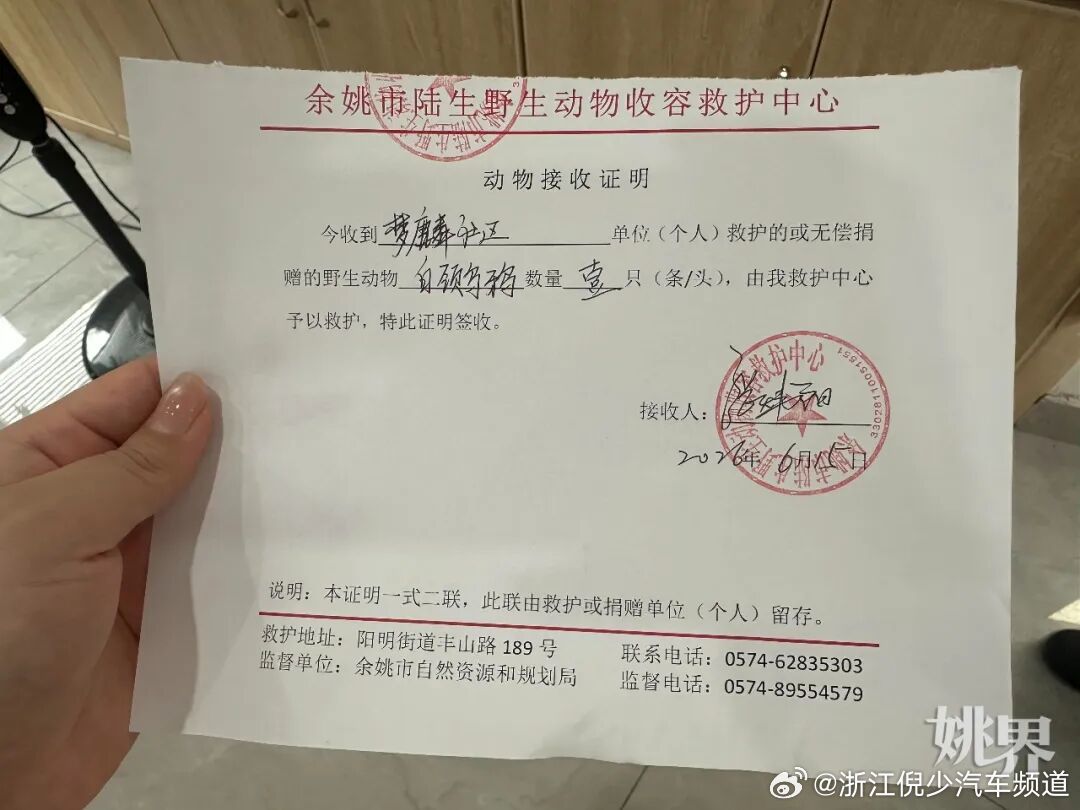 6月15日，余姚凤山街道梦麟社区安山苑内，一只国家“三有”保护动物白颈...