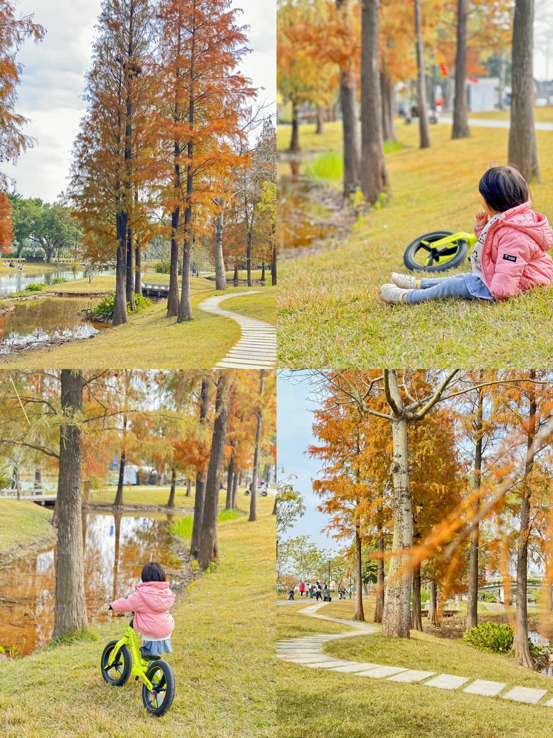广佛这个公园太舒服了❗️免费露营遛娃好去处