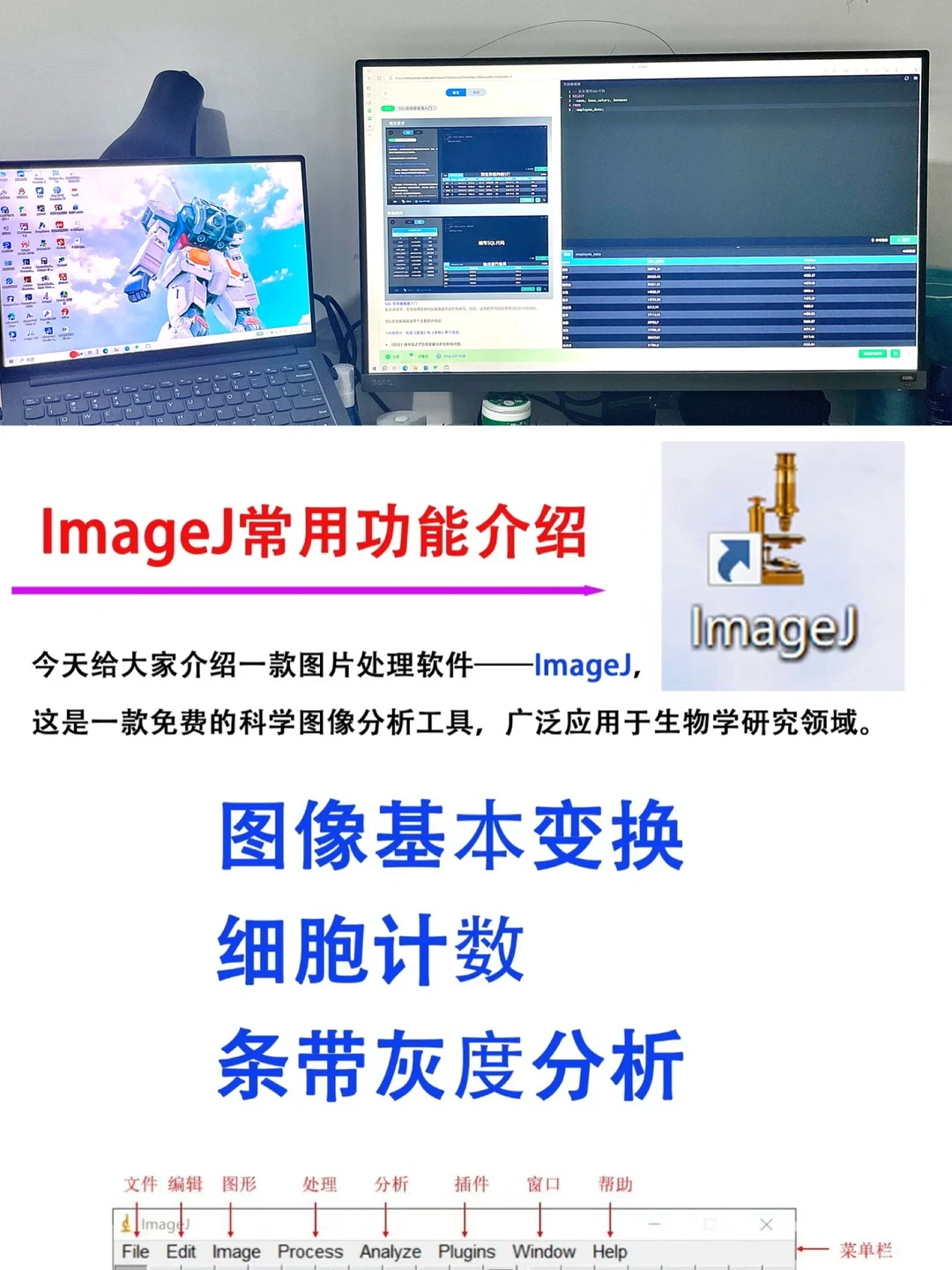 师兄师姐不一定教你的｜ImageJ干货分享