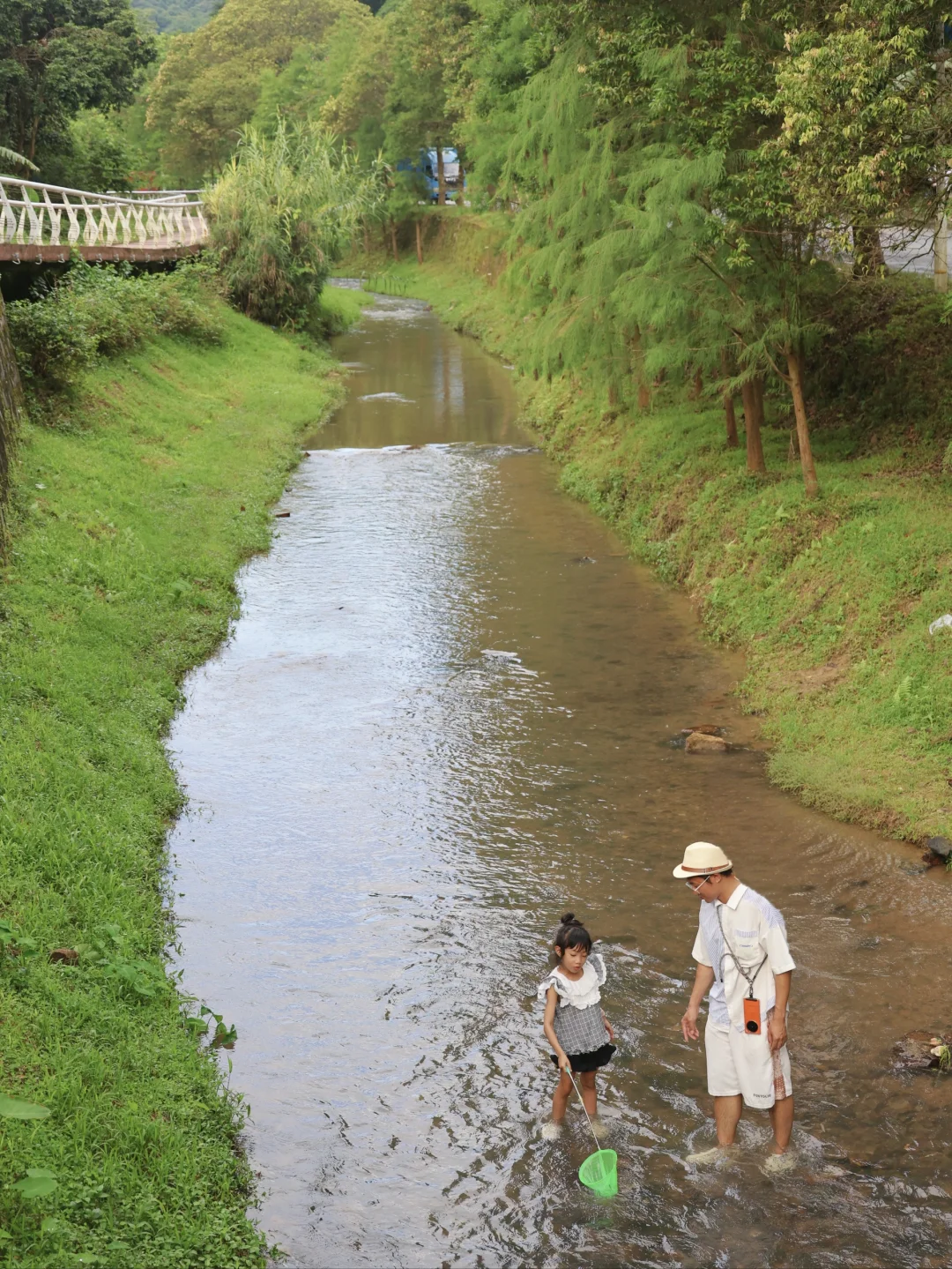 广州溯溪玩水 开车直达❗避暑玩水摘水果