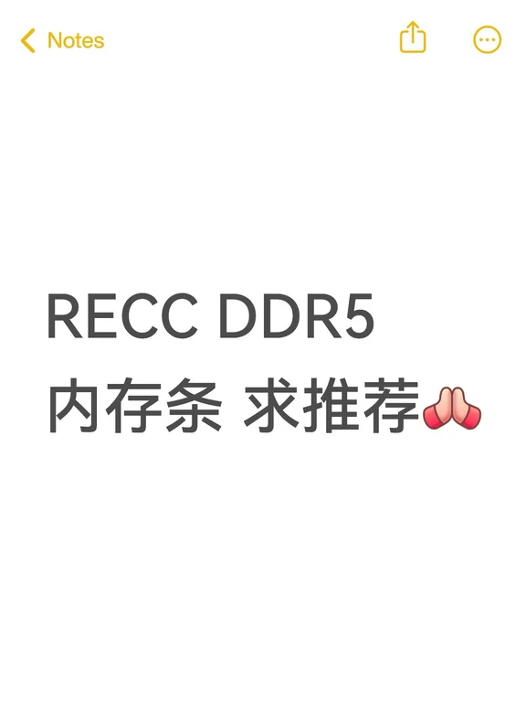 RECC DDR5 内存条