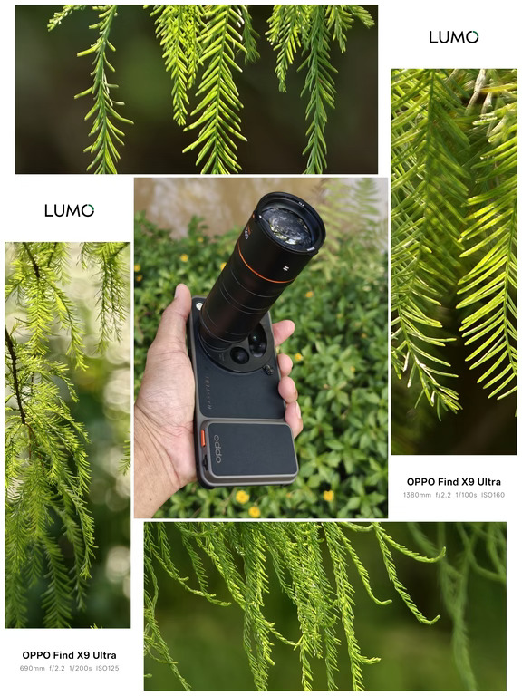 OPPO Find X9 Ultra+增倍镜探索自然微观