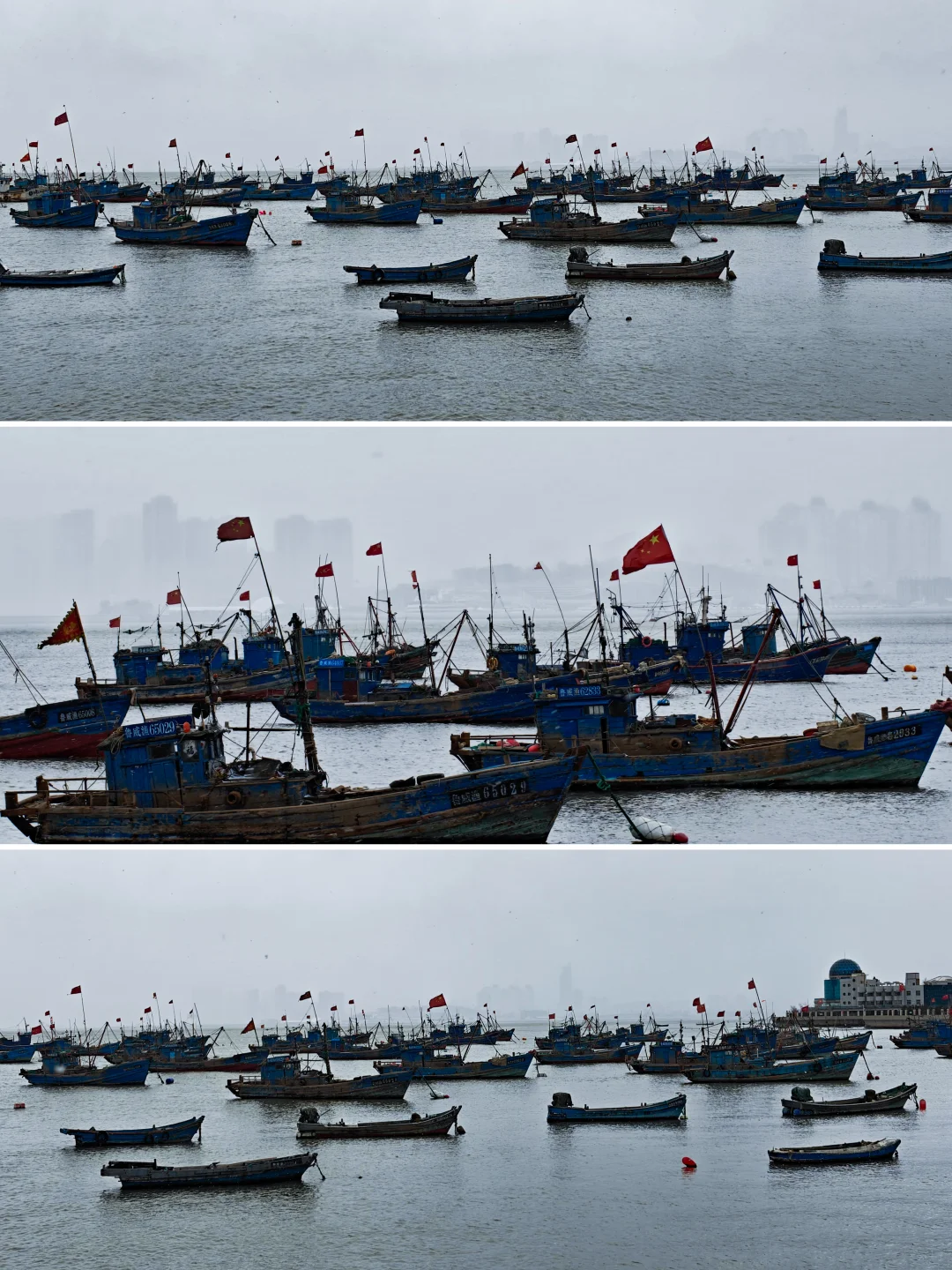 冬天的海源公园很好拍