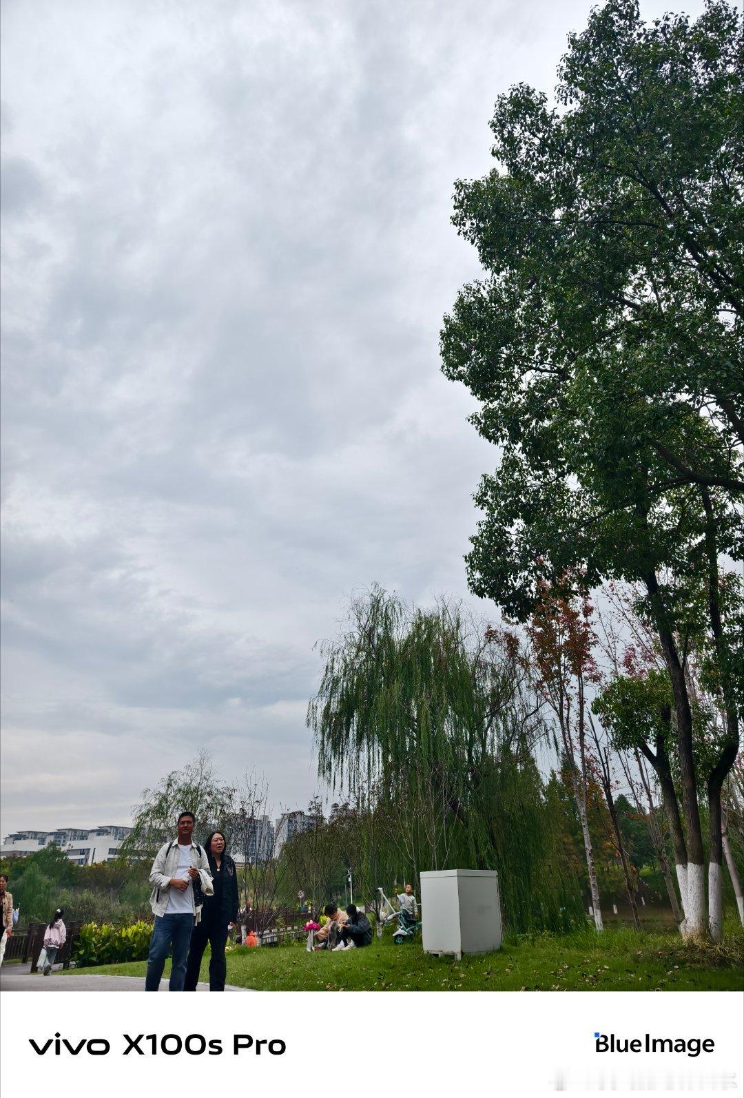 #vivo[超话]# 走在秋天的银杏树下，虽然大部分叶子黄了，但枝头还挂着几片倔强的绿叶，像是在跟秋天较劲，看着看着就笑了。 ​