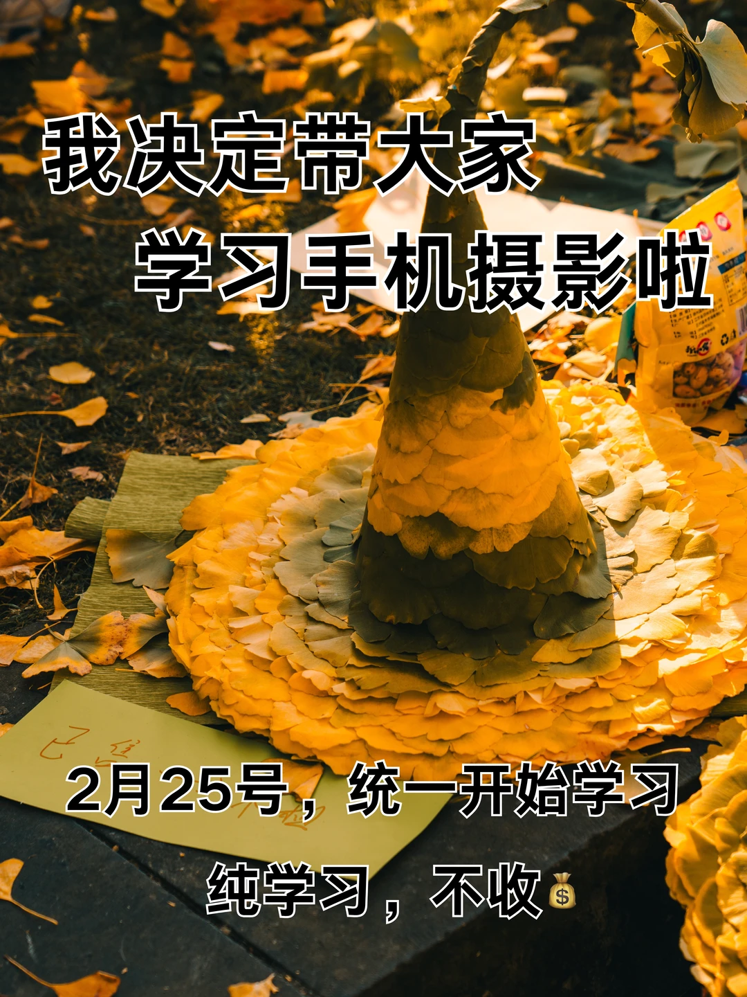 我决定带大家学习手机摄影啦！！