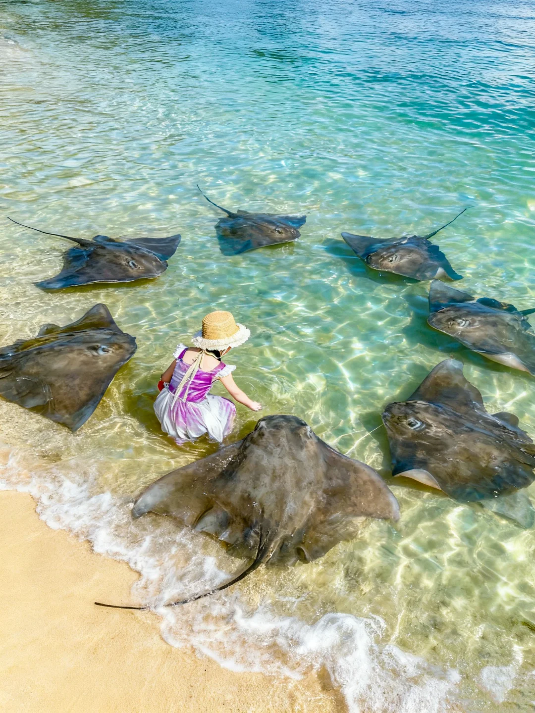 带娃陵水已回😭坚决不删！能劝一个是一个