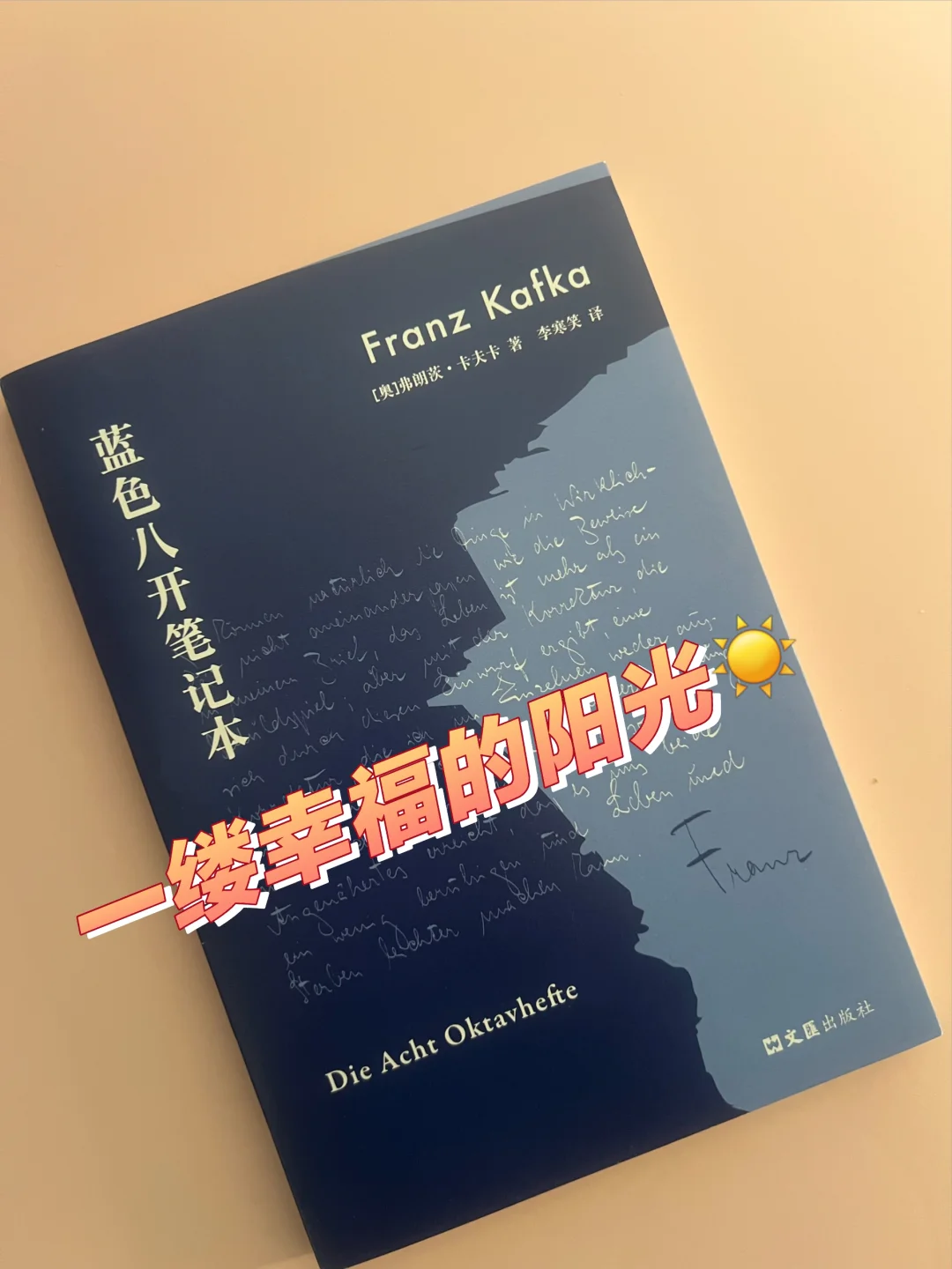 换个视角和方法读卡夫卡，感觉真的不一样