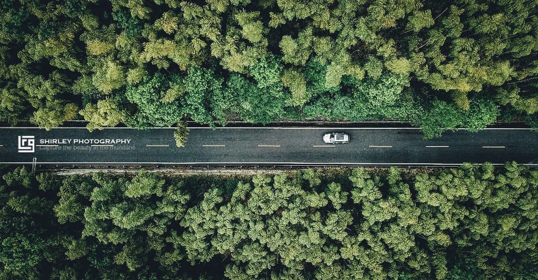 亲子旅行｜自驾去安吉探寻竹韵茶香