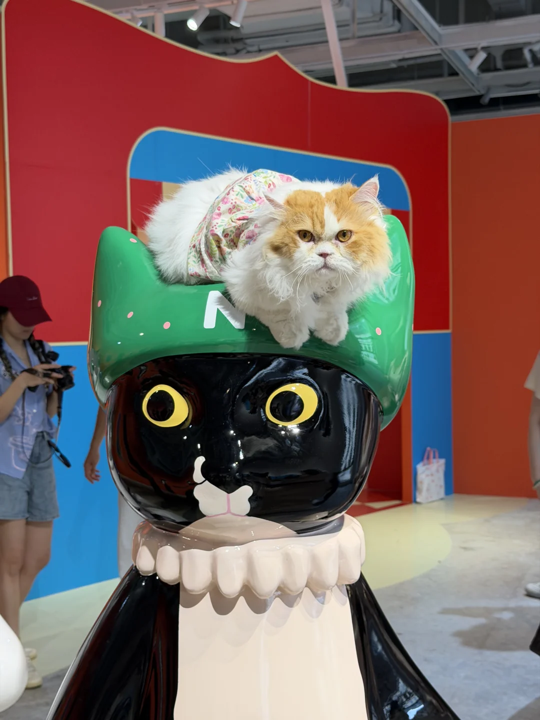 上海这个展！进门就被猫猫迷晕了 好好拍🤳