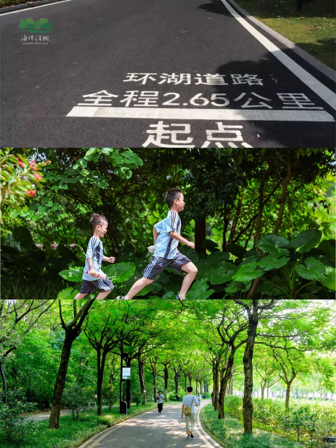 海珠湖，你是懂疗愈的！👍👍👍