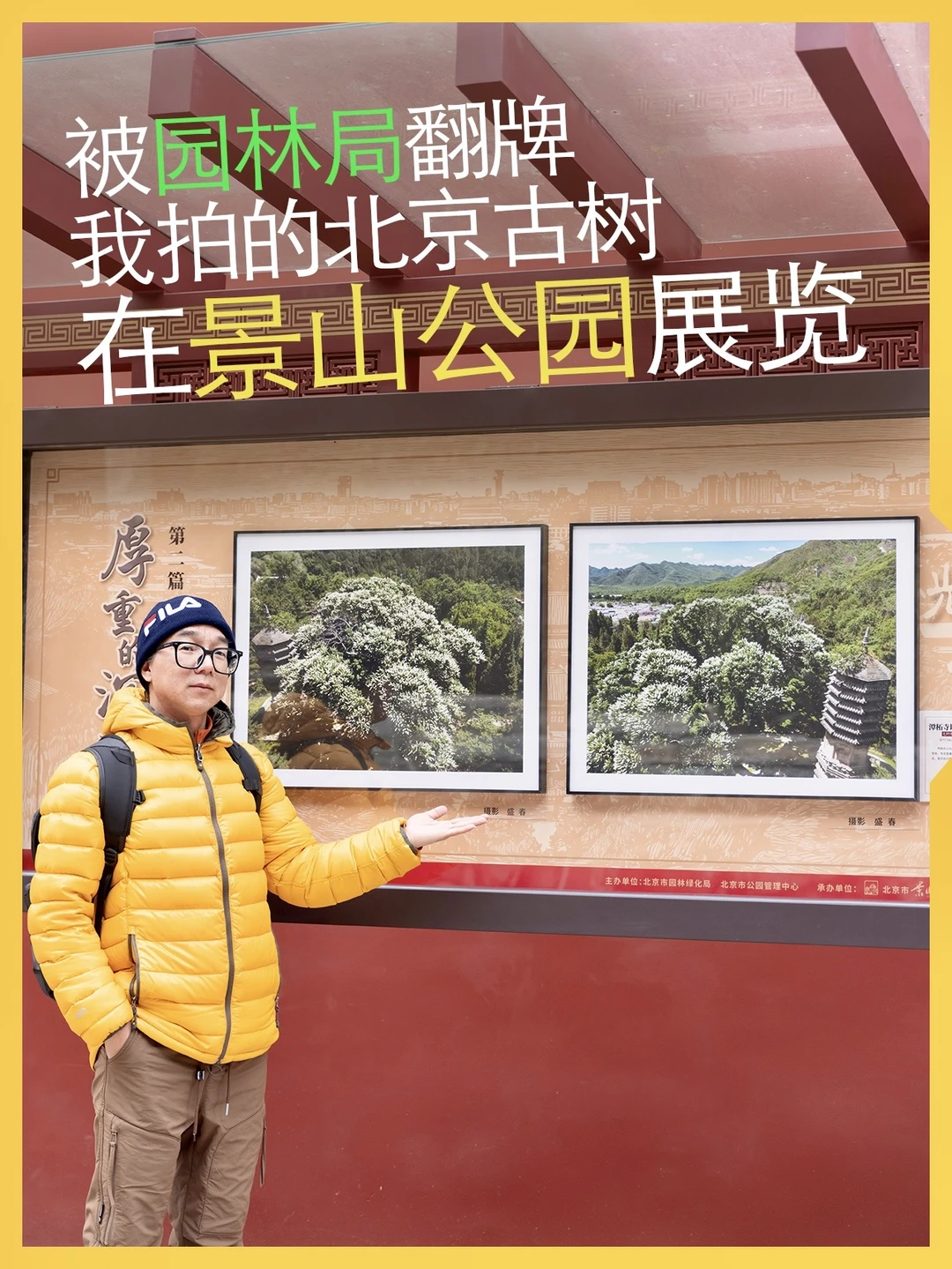 默默拍了5年北京古树，终于被园林局翻牌了！