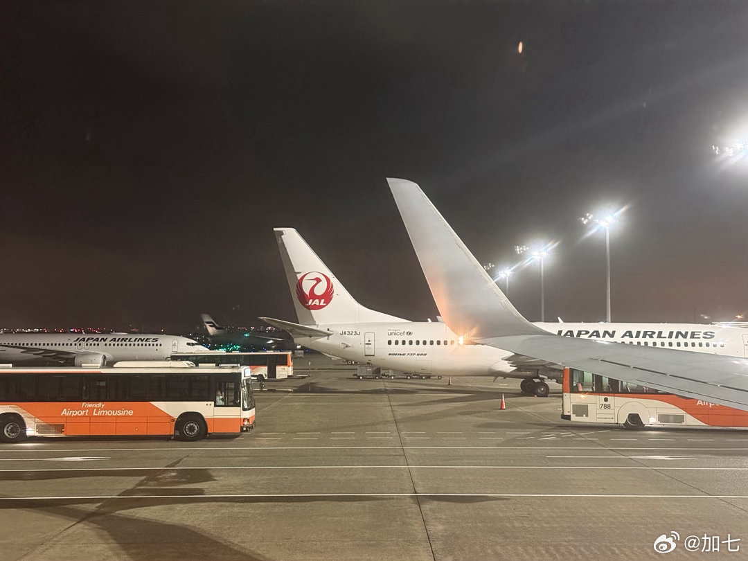 过去坐JAL的国内线还挺少遇到摆渡车的，然而这次飞高松空港往返在羽田空港都是坐摆渡车，是不是某些特定路线比较容易遇到摆渡车？感觉73H的机型应该最先踩雷… ​​​