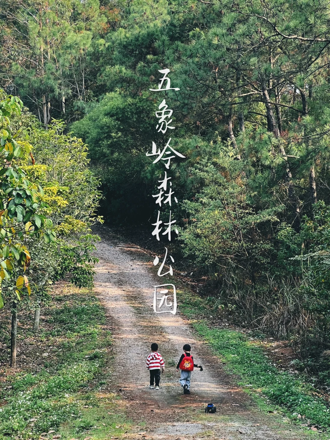 南宁市区轻徒步之五象岭森林公园