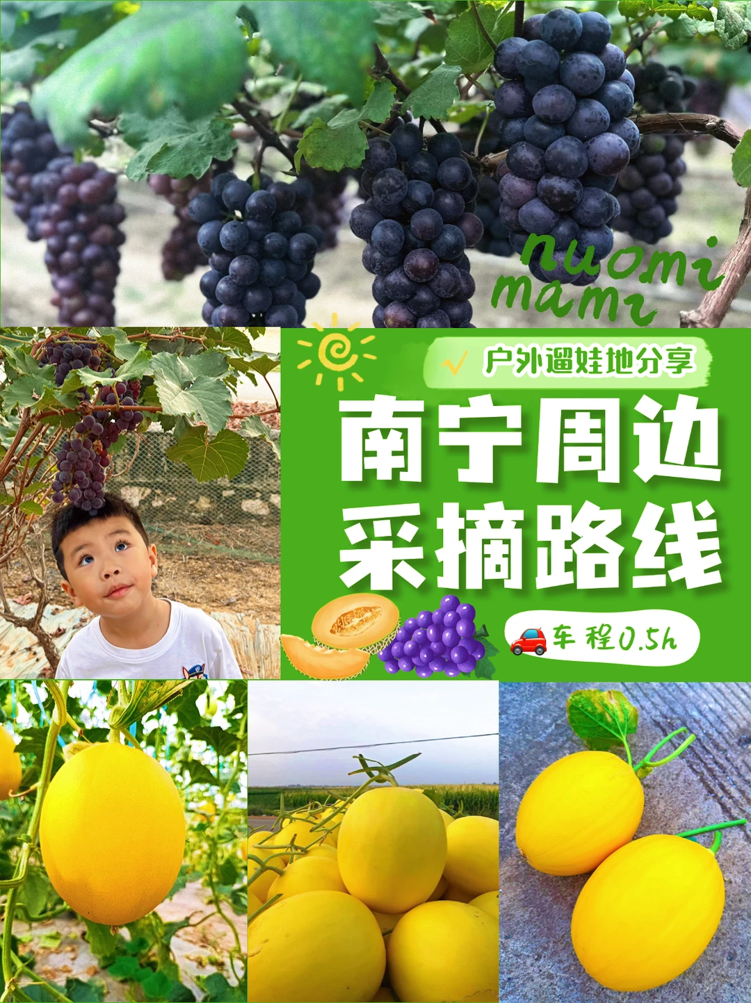 遛娃党抄作业！南宁蜜瓜葡萄🍇爆甜采摘地