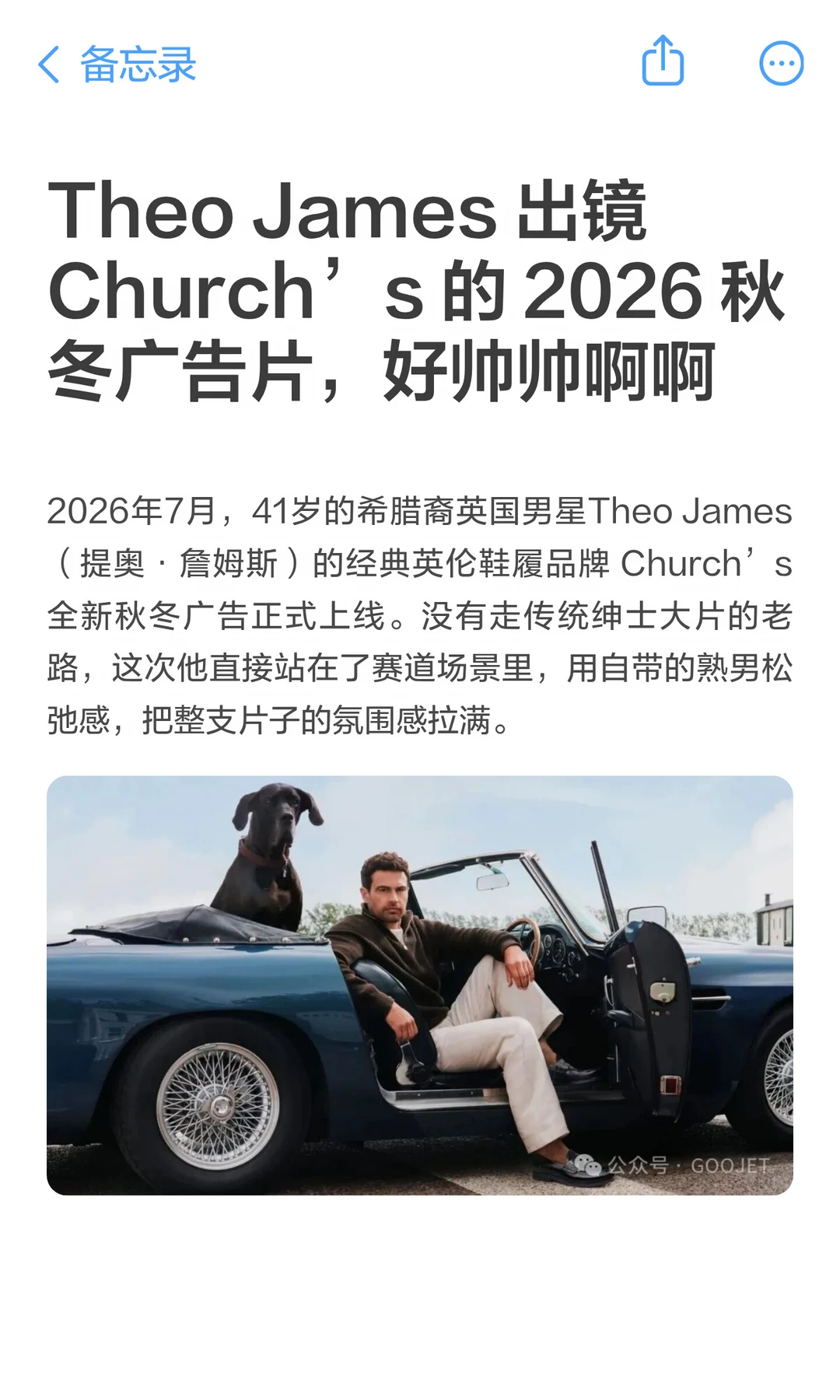 Theo James 好帅帅