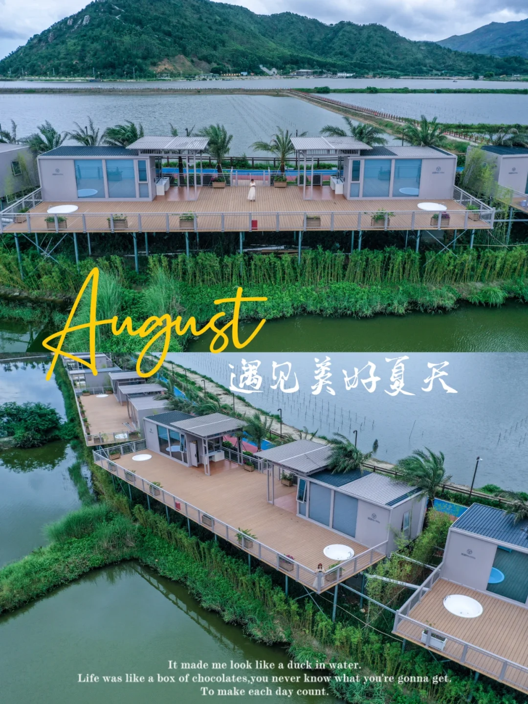 遇见美好夏天|陆丰风车与海的假日