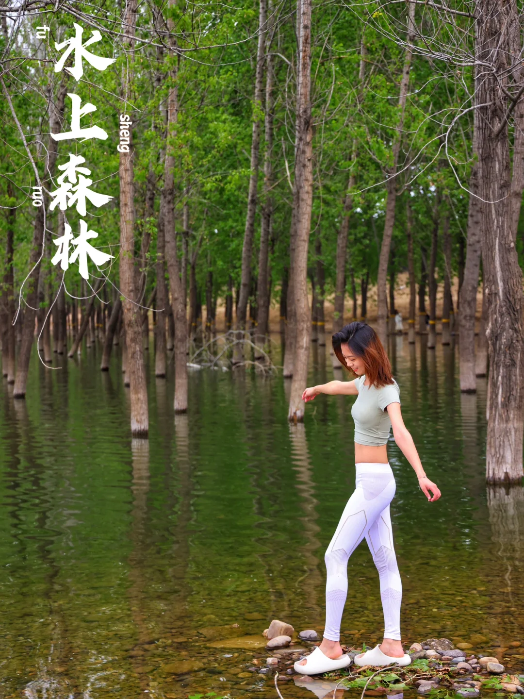 水上森林➕大草甸｜京郊露营天花板❤️