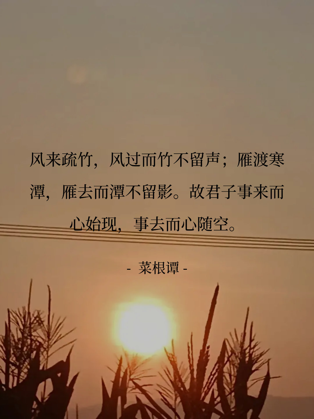 君子之豁达：所谓情情爱爱，想得开，放得下。随时随地清空情绪，不拘泥于儿...