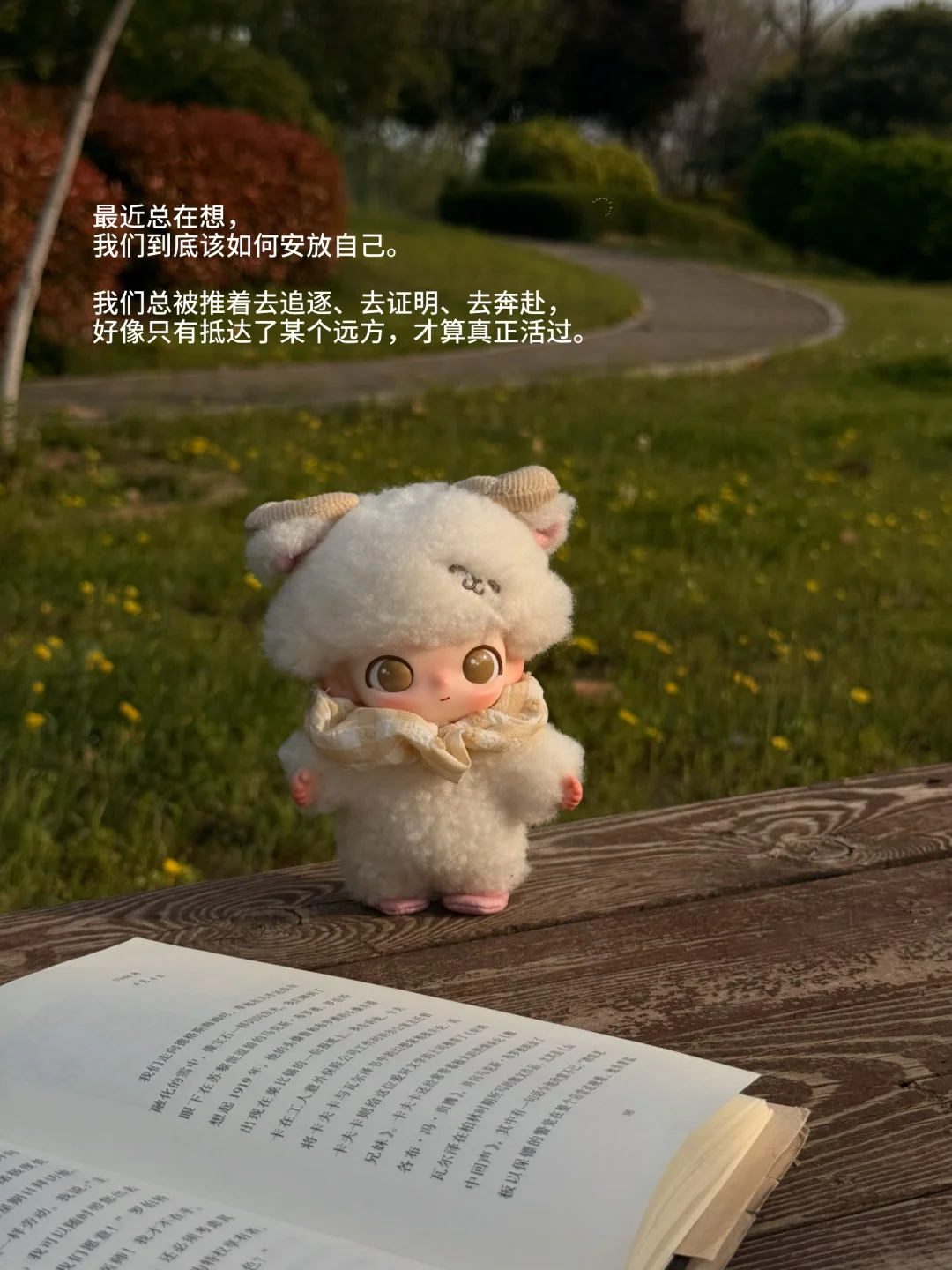 她的一周：逛公园 喝咖啡 读书 不联系。