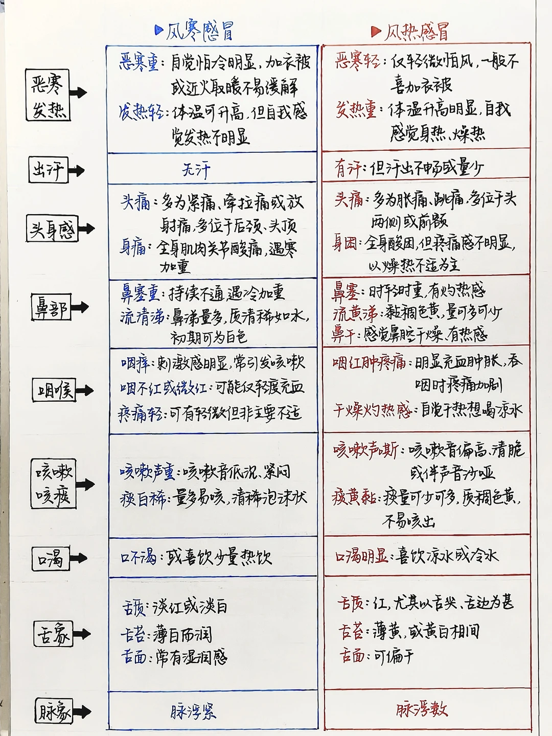 感冒药别瞎买！一口气讲清▶抗病毒逻辑﻿