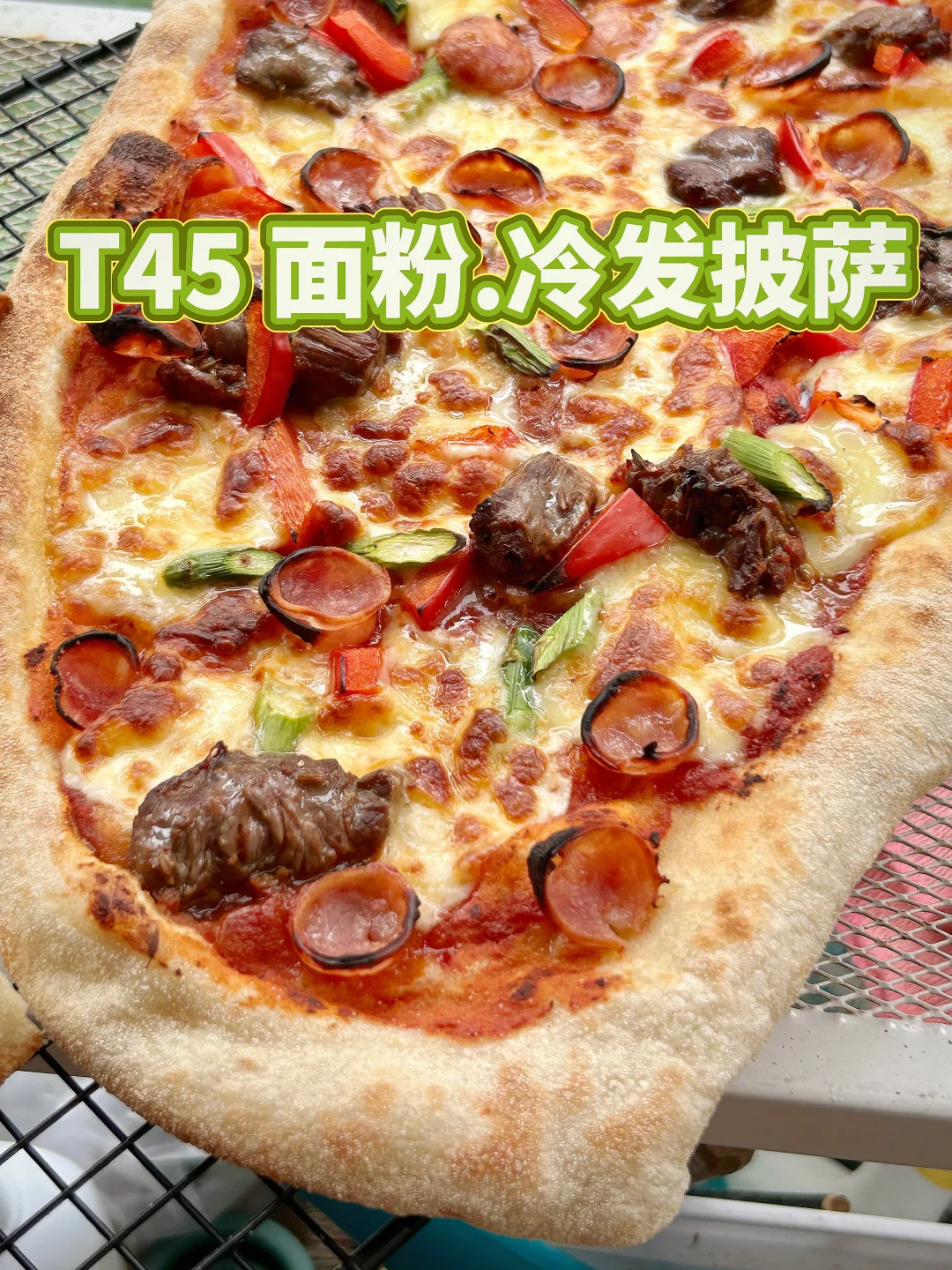 T45 法国粉｜冷发披萨｜65% 水量｜100%Biga