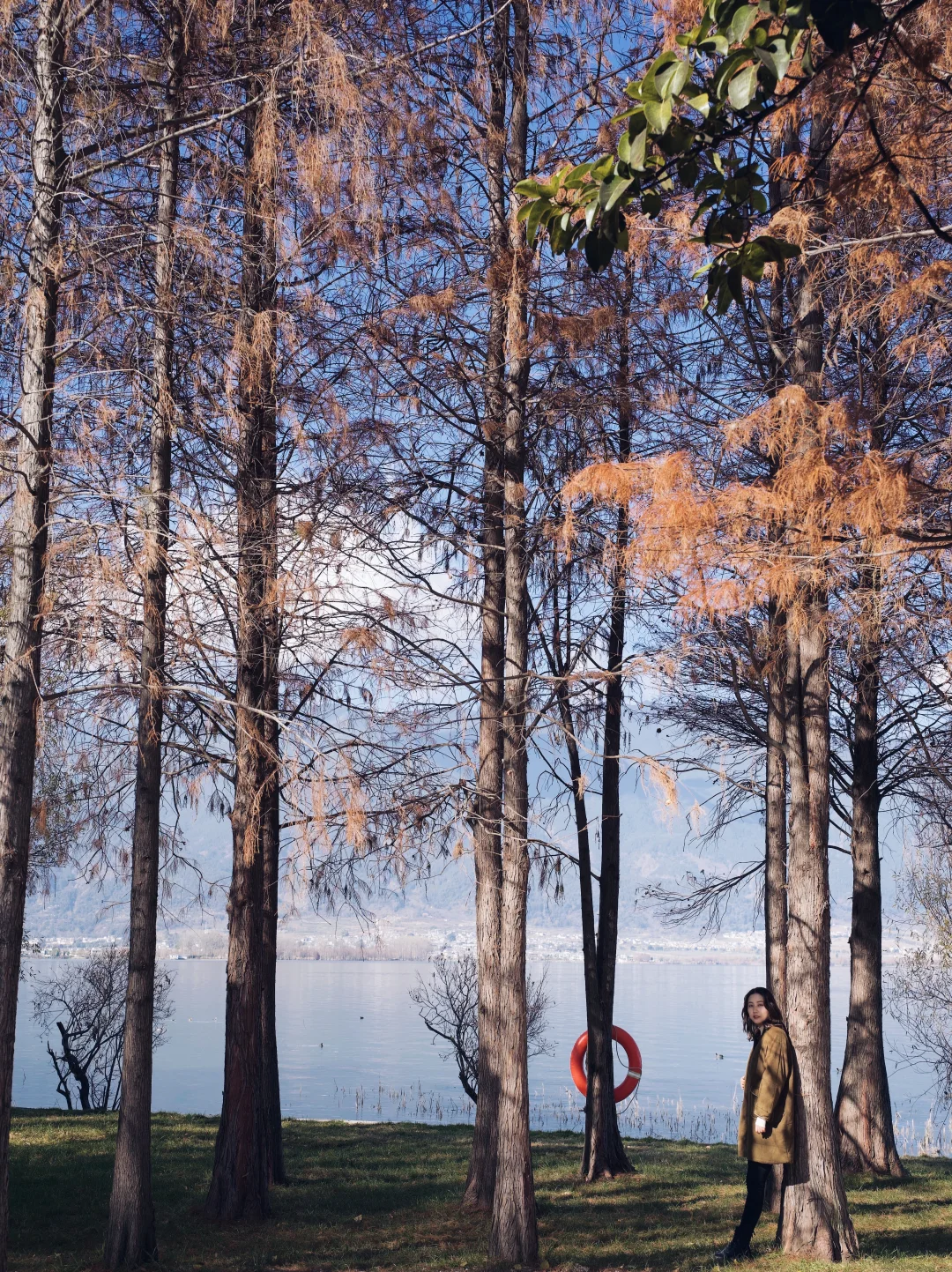 谁懂啊！冬天的海舌公园才是大理的隐藏王炸