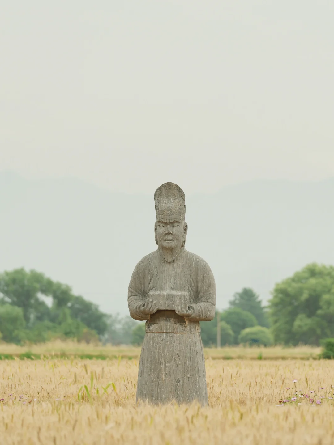 巩义宋陵，众神死亡的荒原上麦子熟了🌾