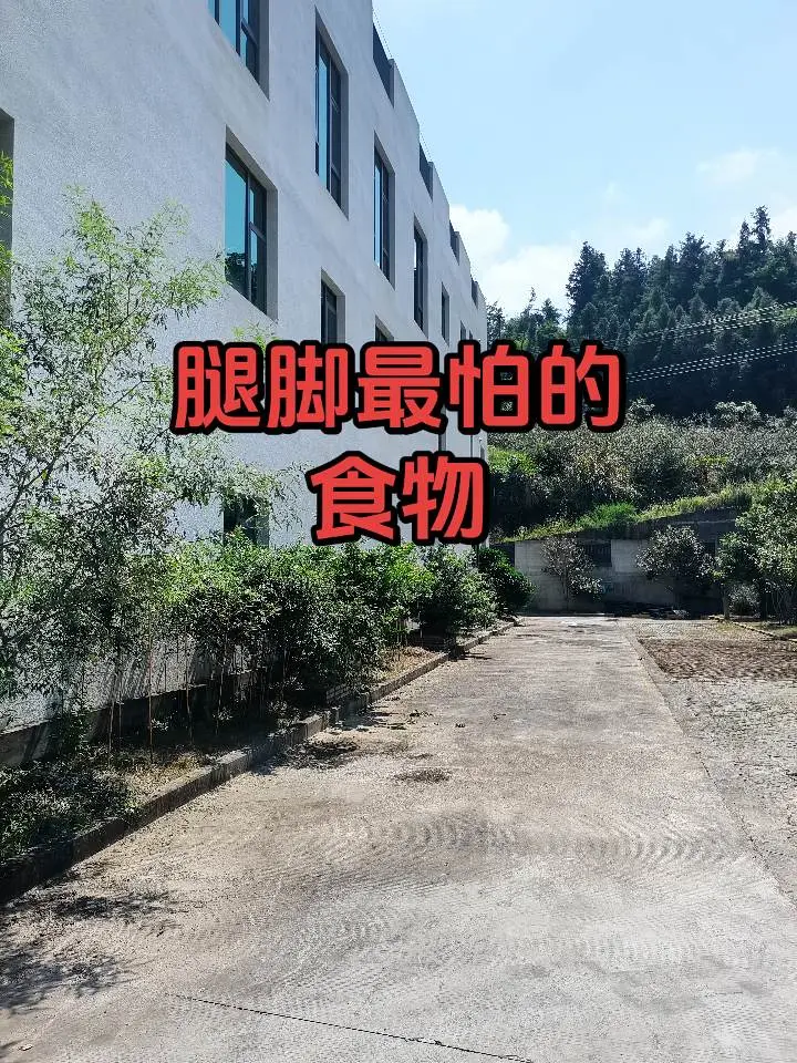 超一流防守大战！丁俊晖极限绝杀凯伦威尔逊，做球解球太精彩了 斯诺克 丁俊晖 精彩片段 防守