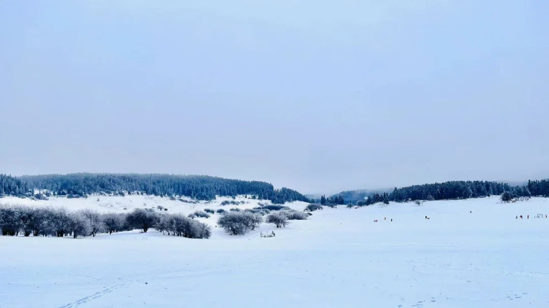 雪后初晴的仙女山⛰️