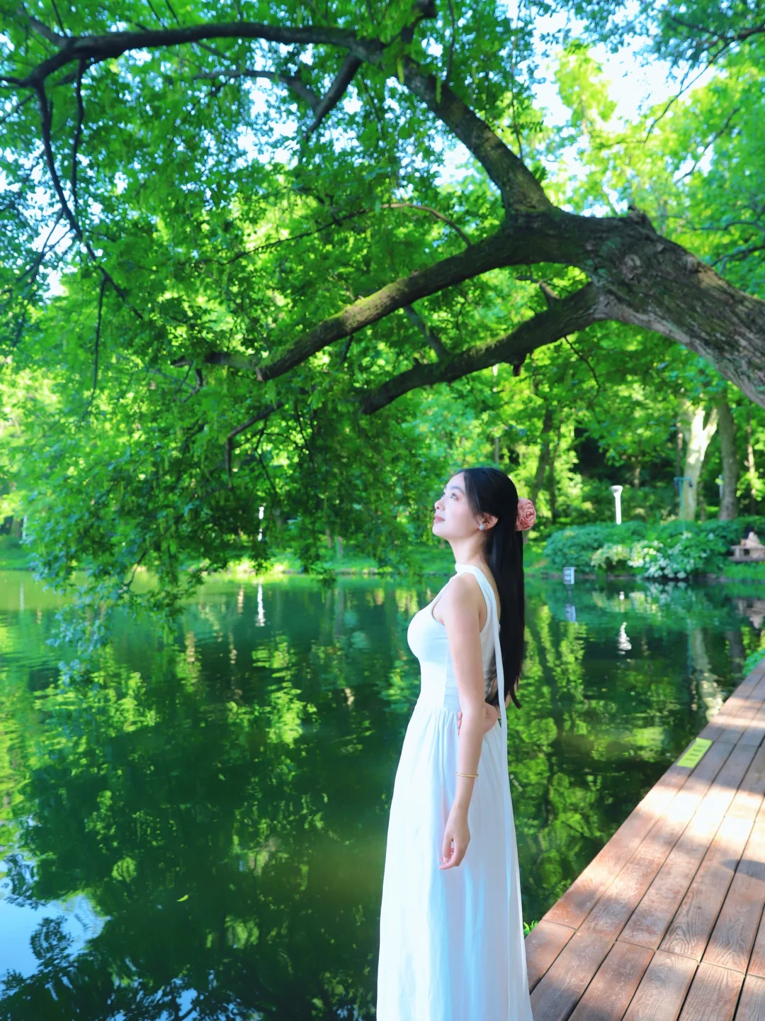 光落在绿意里🍃