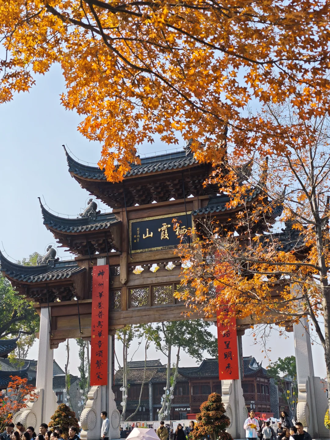 🍁红啦？南京栖霞山开始黄透啦～无滤镜