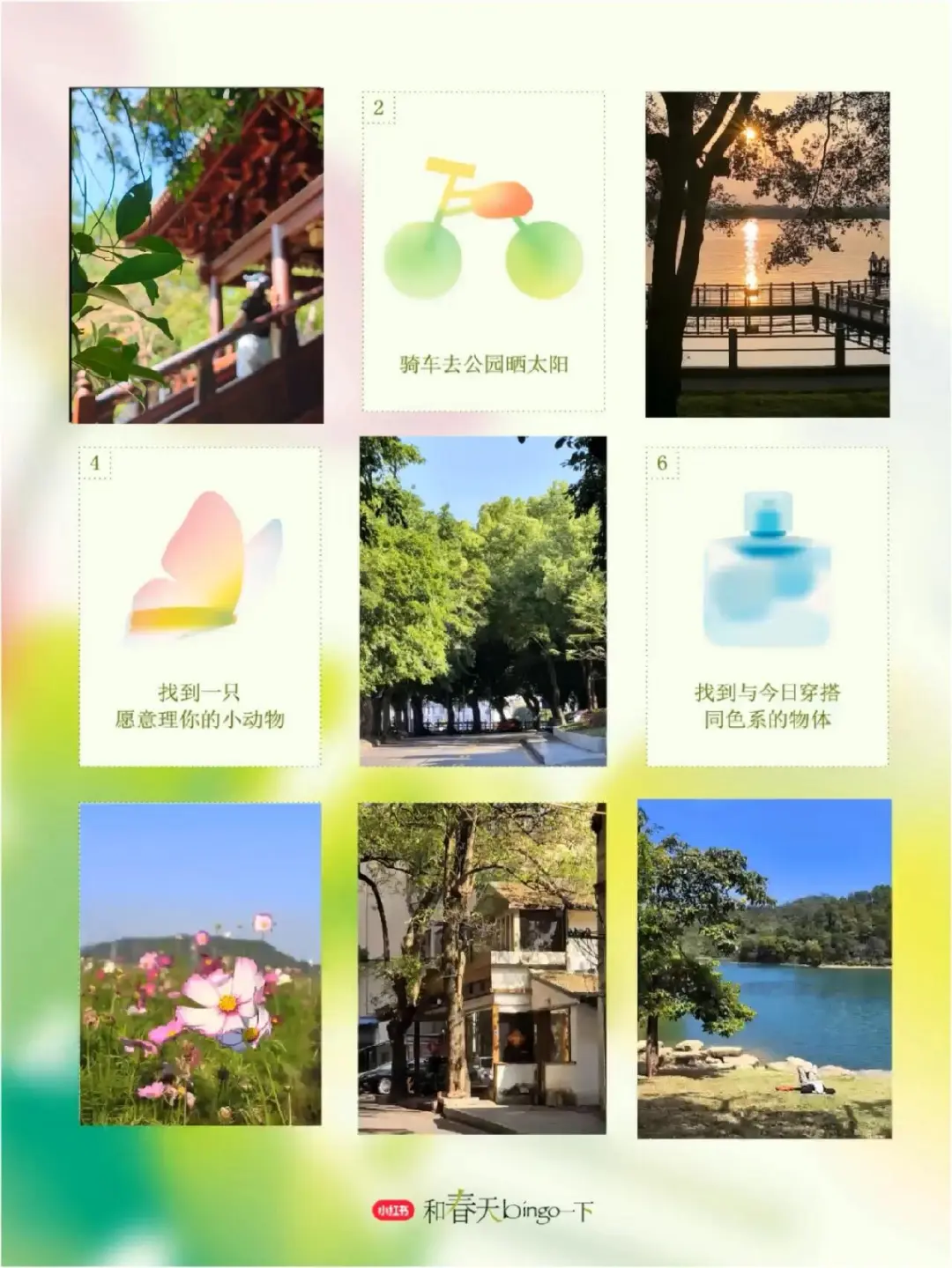 惠州的春天太治愈了 来和春天bingo一下🍃