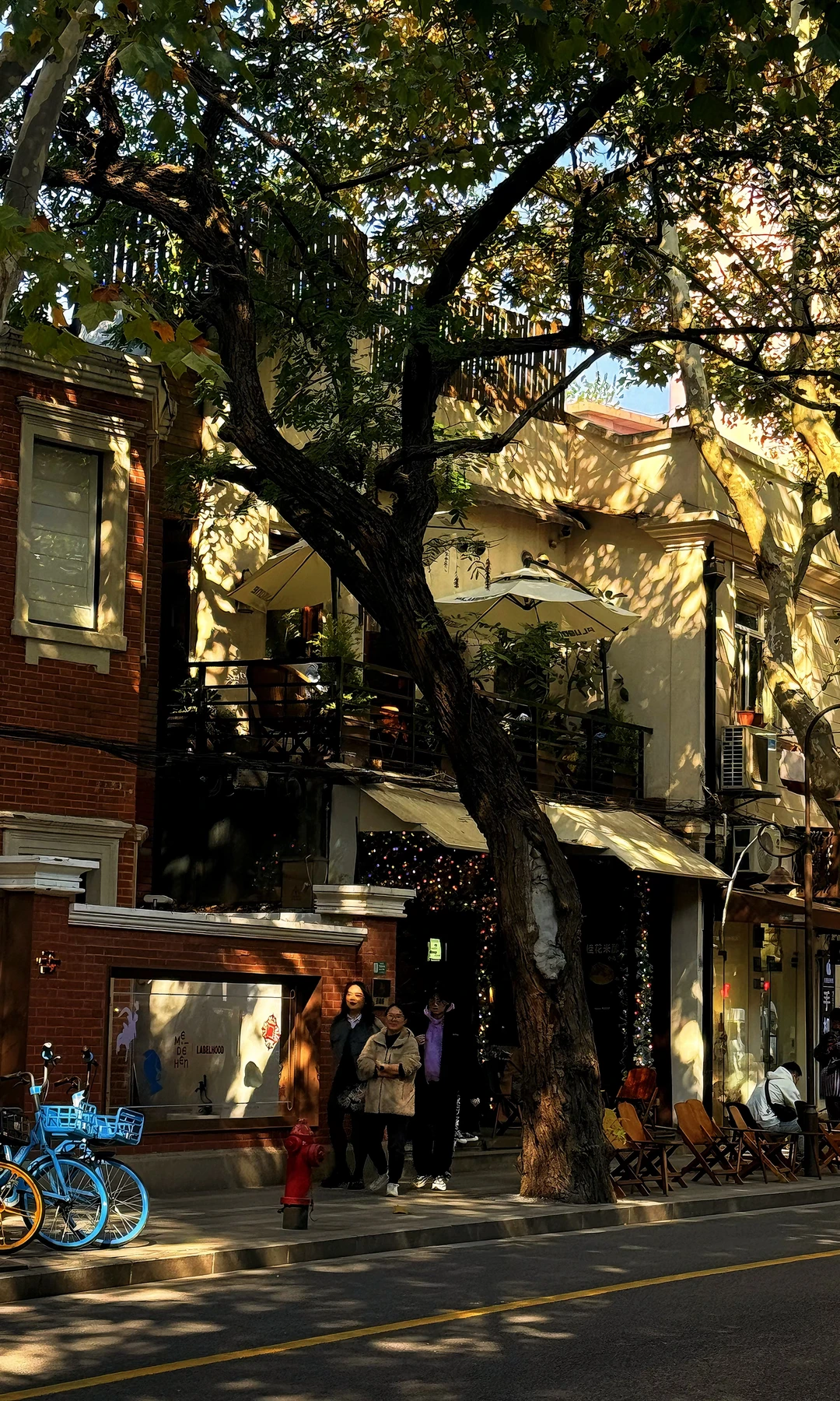 上海圣诞🎄浓度100% | 静安寺-巨鹿路散步