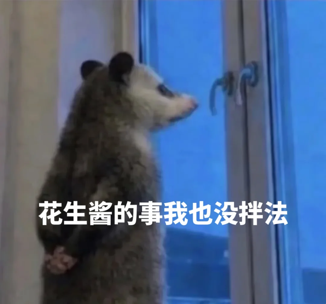 到底往负鼠表情包里加了什么？！