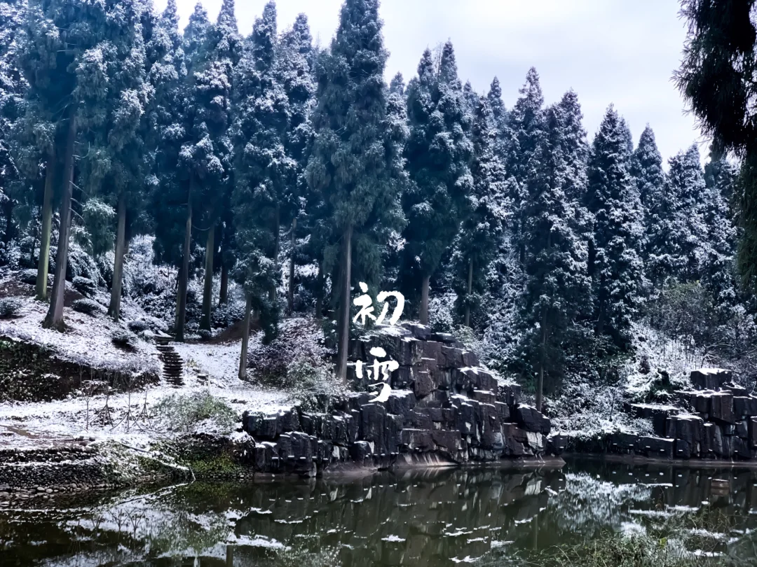 2022年的第一场雪❄️