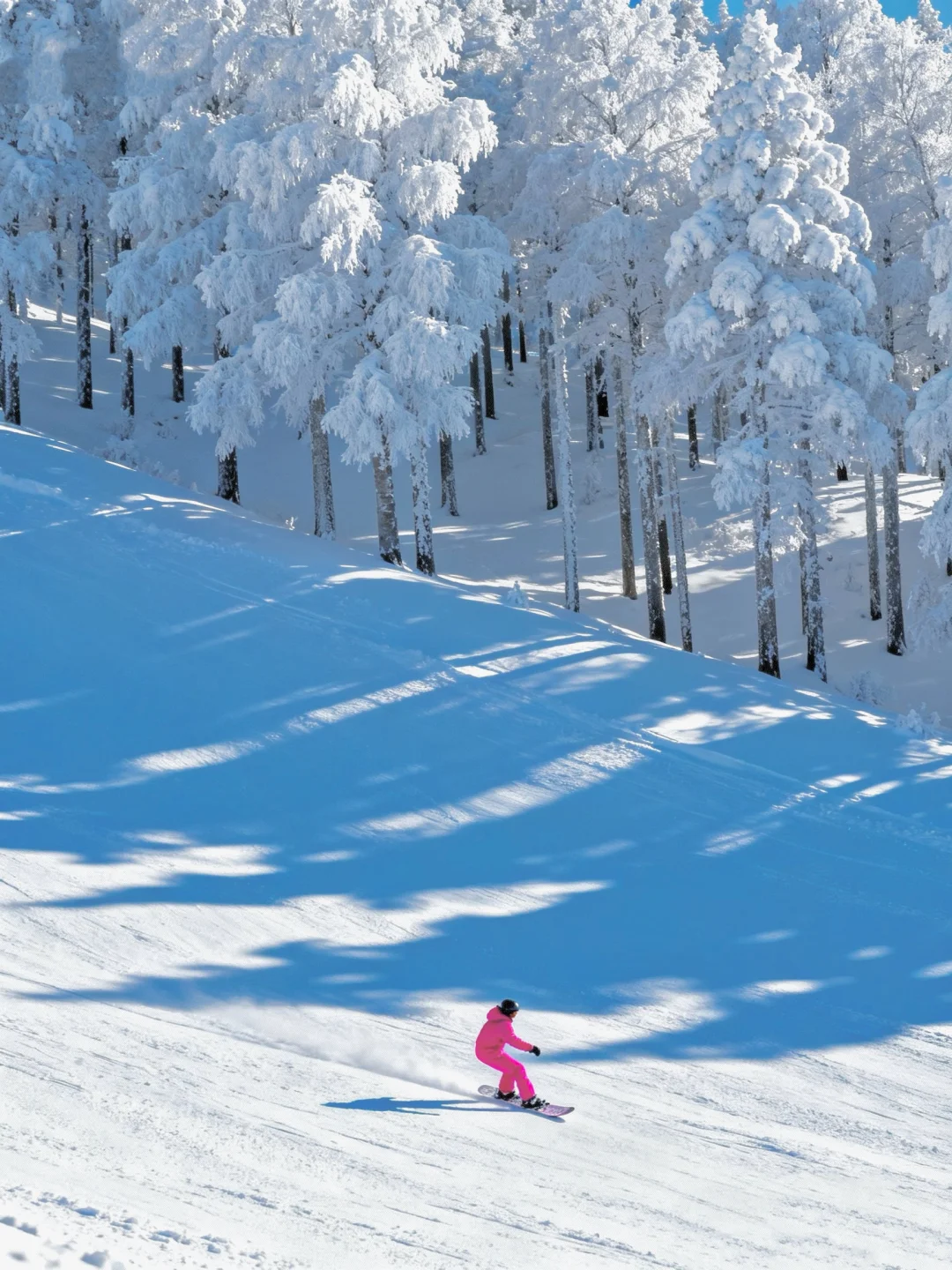 谁懂！北京周边2h，滑进冰雪童话世界！⛷️