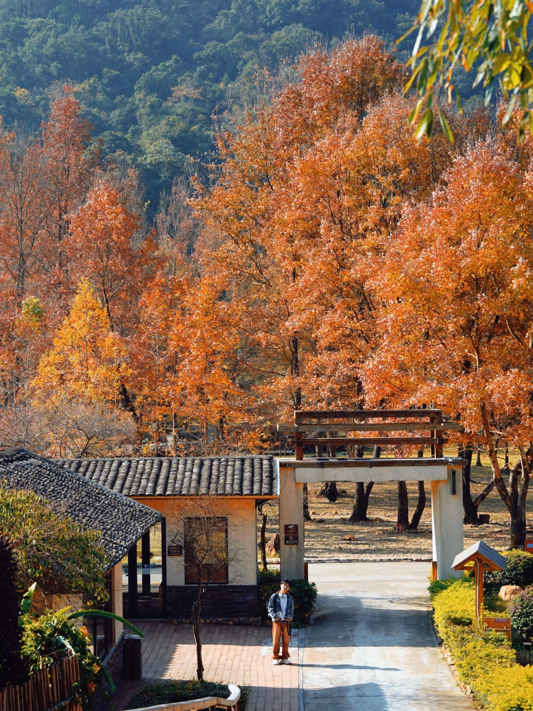 高铁直达🚄广东这座城市的秋冬，美到封神