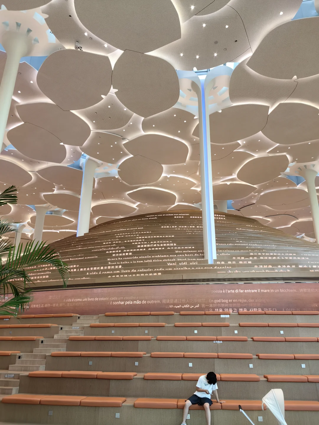 我滴个乖乖，这居然是图书馆📚