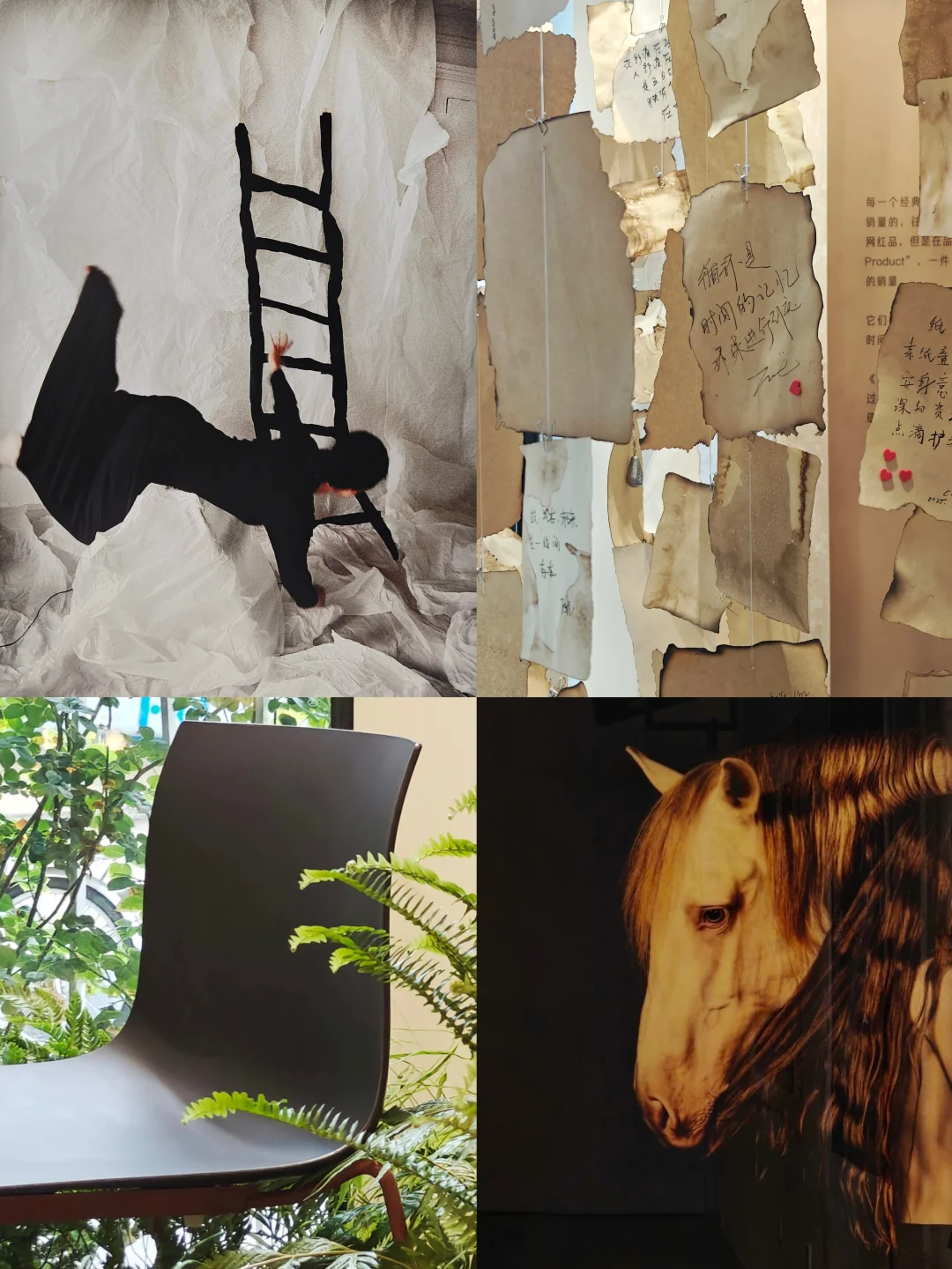 逛安福路随时收获小惊喜｜摄影展➕家具展